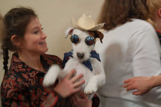 Illustration for article titled The Westminster Dog Show: Bitches, Man, Bitches